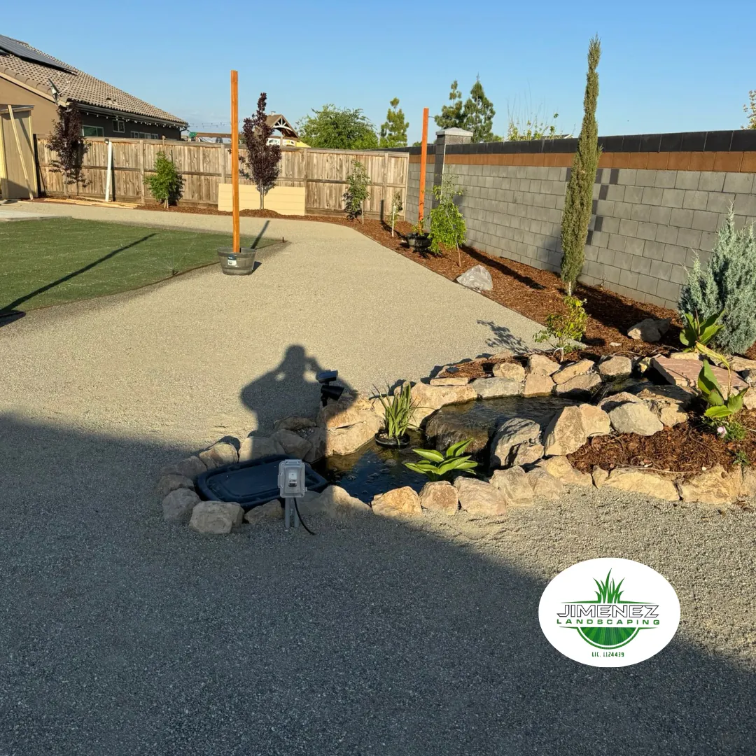 Landscaped backyard featuring decorative rock, a small pond with plants, and new trees, showcasing Jimenez Landscaping's expertise in creating beautiful outdoor spaces in Bakersfield.