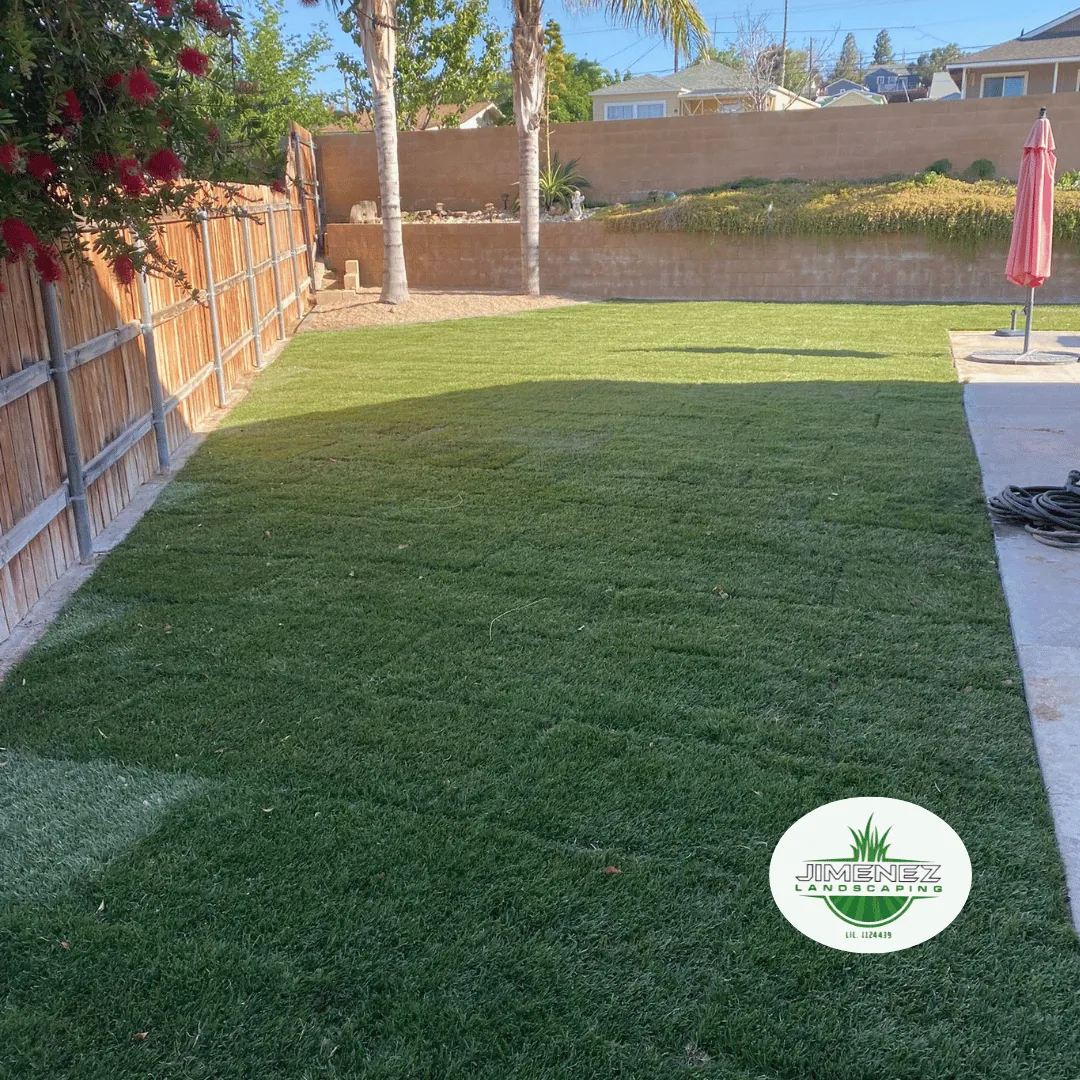 Lush, artificial turf lawn installed by Jimenez Landscaping in a residential backyard, featuring a vibrant green appearance surrounded by palm trees and a wooden fence, enhancing outdoor aesthetics in Bakersfield.