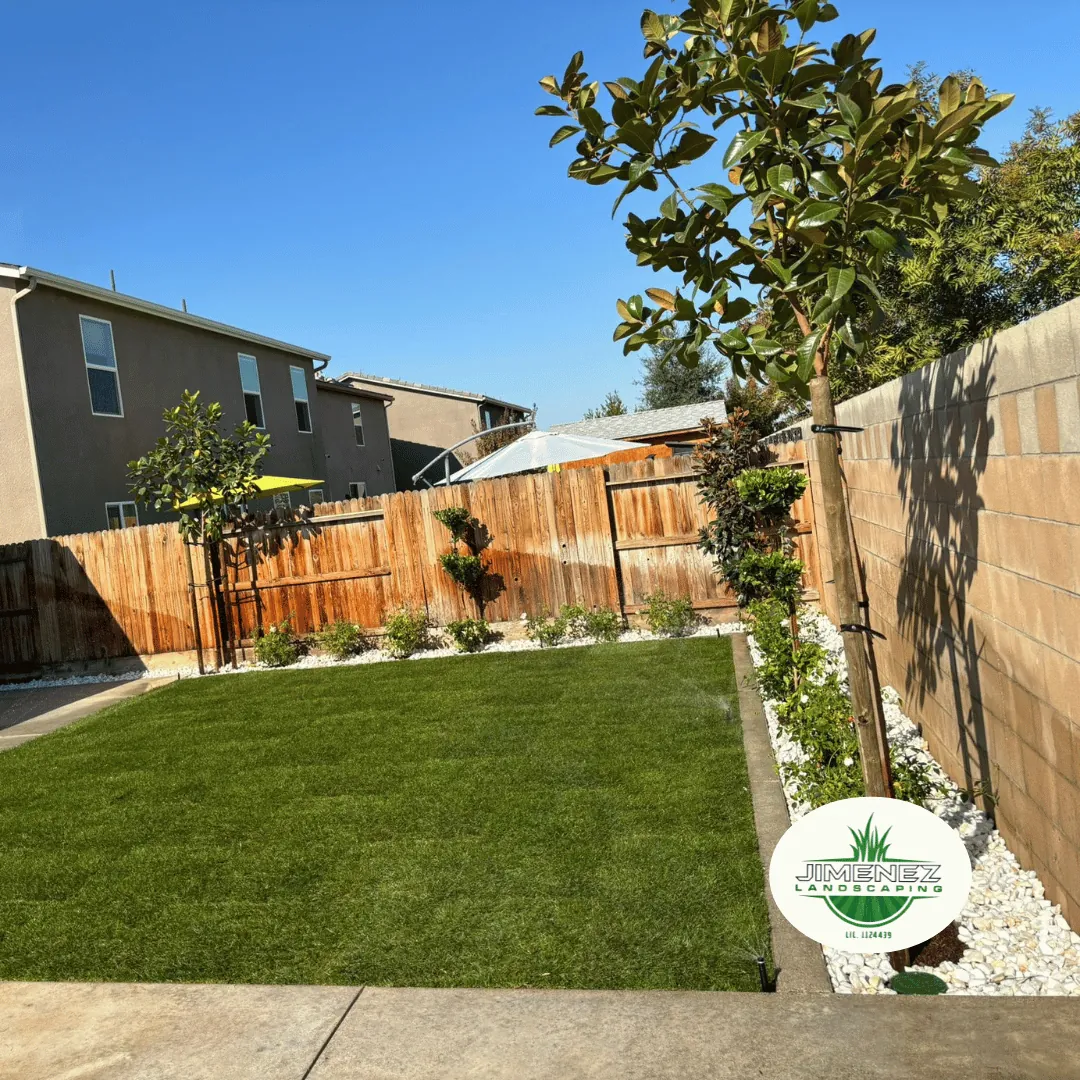 Lush green artificial turf yard with decorative rocks and young trees, showcasing professional landscaping by Jimenez Landscaping in Bakersfield.