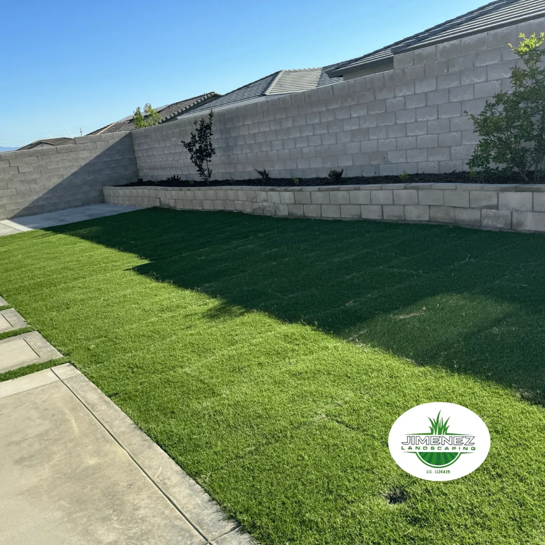 Lush green lawn with freshly installed sod and decorative landscaping elements in Bakersfield, showcasing Jimenez Landscaping's expertise in lawn care.