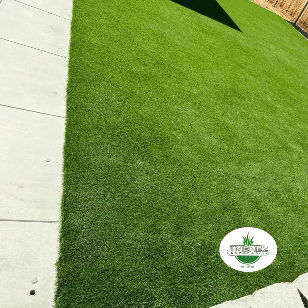 Lush green artificial turf installed alongside a concrete pathway, showcasing a pet-friendly landscape by Jimenez Landscaping in Bakersfield.