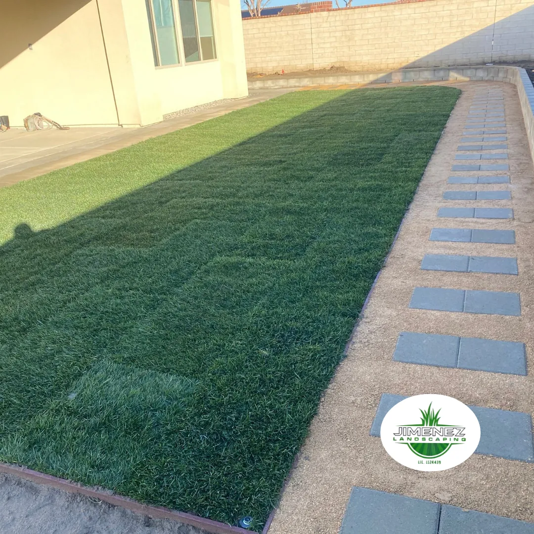 Sod installation with lush green grass alongside a decorative stone walkway leading to a home, showcasing Jimenez Landscaping's services in Bakersfield.